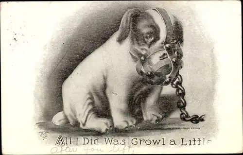 Ak Bestrafter Hund, Maulkorb, All I did was growl a little