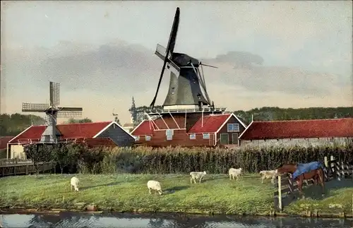 Ak Wasserpartie mit Blick auf Windmühle, Kühe