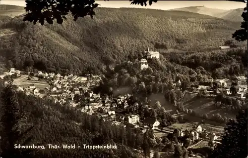 Ak Schwarzburg in Thüringen, Trippsteinblick