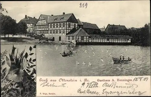 Ak Ottenstein in Niedersachsen, Rehbock, Gasthaus, Ruderboote