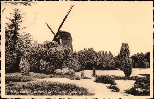 Ak Haaksbergen Overijssel, Buurserzand met Standaardmolen