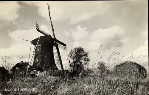 Foto Ak Mooi Drenthe Niederlande, Niederländische Windmühle, Wohnhaus