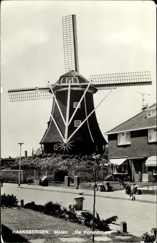 Ak Haaksbergen Overijssel, Molen De Korenbloem