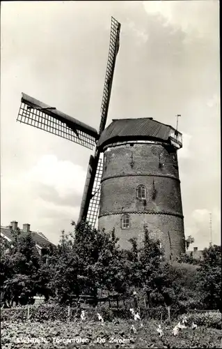 Ak Lienden Buren Gelderland, Torenmolen De Zwaan, Windmühle