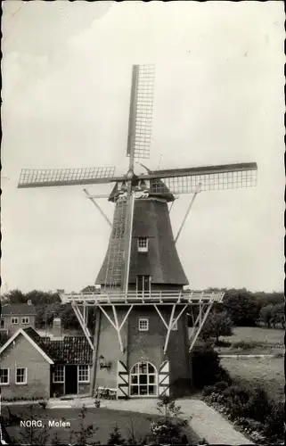 Ak Norg Drenthe Niederlande, Molen, Windmühle