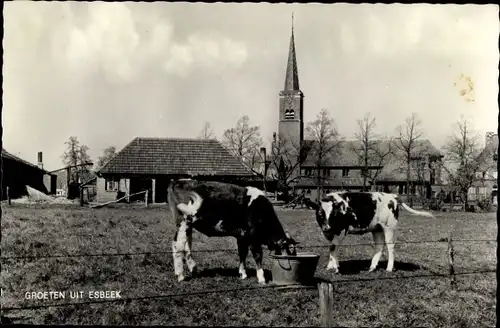 Ak Esbeek Nordbrabant Niederlande, Kirche, Kühe, Eimer, Wiese