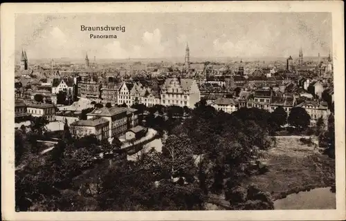 Ak Braunschweig in Niedersachsen, Panorama