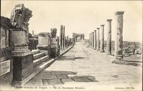 Ak Timgad Algerien, Ruines Romaines de Timgad - Voie du Decumanus Maximus