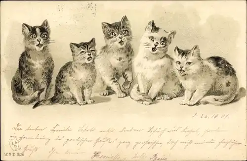 Ak Singende Katzen, Junge Katzen