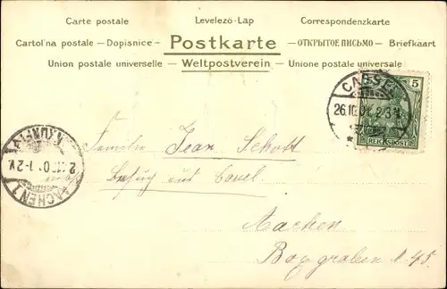 Ak Singende Katzen, Junge Katzen