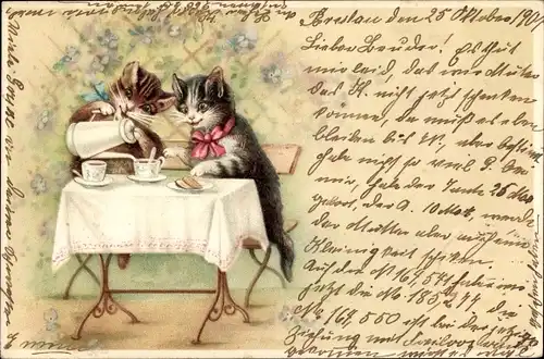 Litho Katzen am Tisch, Tee, Kekse, Tassen