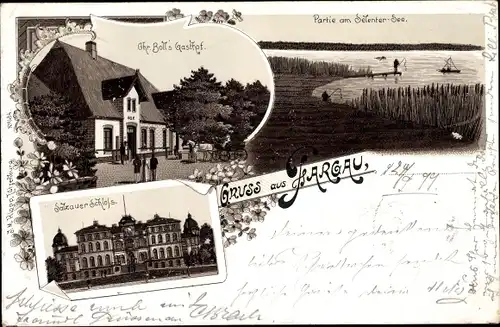 Litho Fargau Pratjau Schleswig Holstein, Chr. Balls Gasthof, Salzauer Schloss, Selenter See