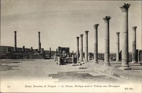 Ak Timgad Algerien, Ruines Romaines de Timgad - Le Forum, Portique nord et Tribune aux Harangues