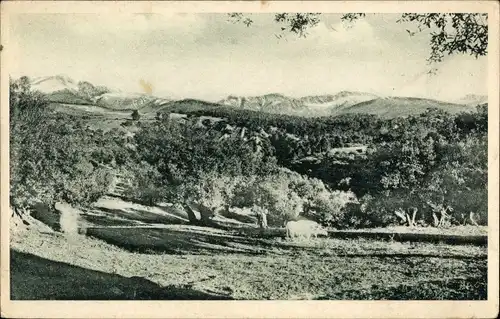 Ak Kabylie Algerien, Paysage a Maillot