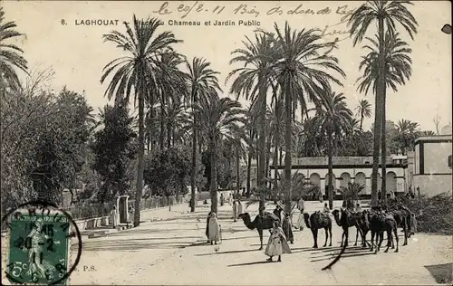 Ak Laghouat Algerien, Place du Chameau et Jardin Public