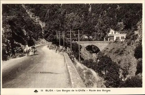 Ak Blida Algerien, Les Gorges de la Chiffa