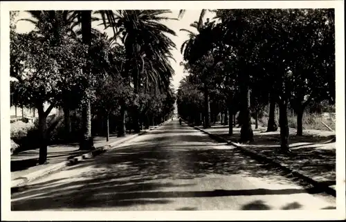 Ak Arzew Algerien, Avenue de la Liberte