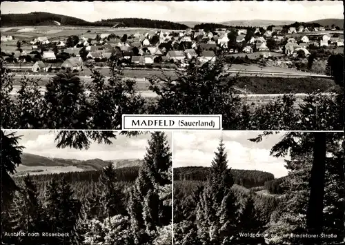 Ak Madfeld Brilon im Sauerland, Gesamtansicht, Waldpartie, Rösenbeck