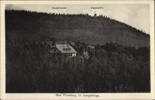 Ak Świeradów Zdrój Bad Flinsberg Schlesien, Panorama mit Blick auf Waldfrieden und Hasenstein