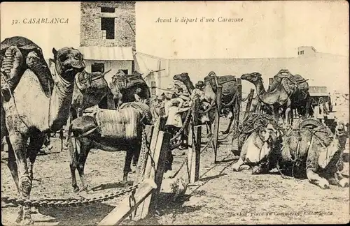 Ak Casablanca Marokko, Avant le départ d'une Caravane, Kamele