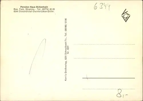 Ak Steinbrücken Dietzhölztal in Hessen, Teilansicht, Pension Haus Birkenhain