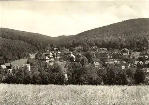 Ak Schmiedeberg Dippoldiswalde im Erzgebirge, Blick nach dem Molchgrund