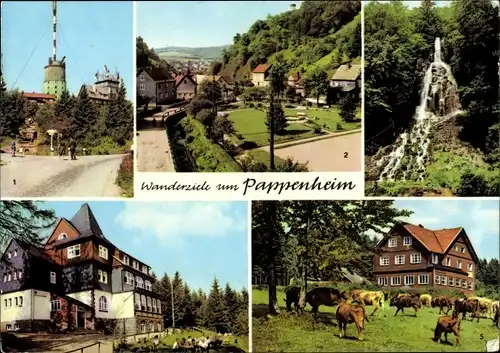 Ak Pappenheim Altmühltal Mittelfranken, Gr. Inselsberg, Spießberghaus, Wasserfall, Berghotel, Kühe