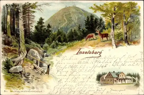 Litho Brotterode, Hirsche, Inselsberg, Waldgebiet