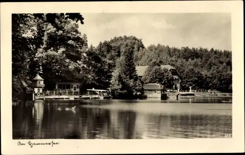 Ak Hamr na Jezeře Hammer am See Region Reichenberg, Hammersee