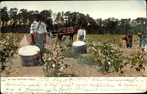 Ak In the Cotton Field, Pflücker, Afrikaner