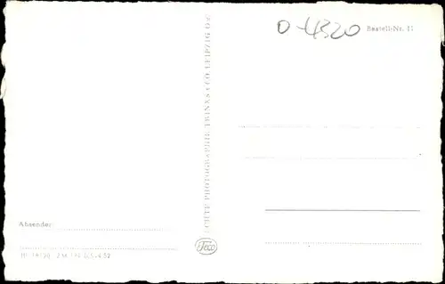 Ak Aschersleben in Sachsen Anhalt, Rosarium