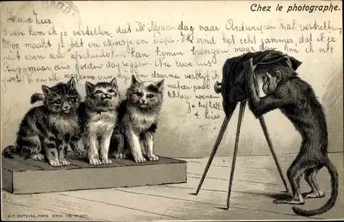 Präge Litho Schimpanse fotografiert Katzen, vermenschlichte Tiere, Fotoapparat