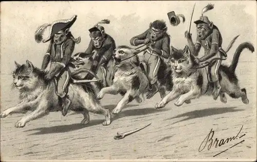 Präge Litho Affen reiten auf Hauskatzen