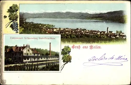Ak Meilen Kanton Zürich, Etablissement für Herstellung Alkoholfreier Weine, Ortsansicht