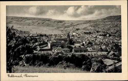 Ak Echternach Luxemburg, Panorama, Dom