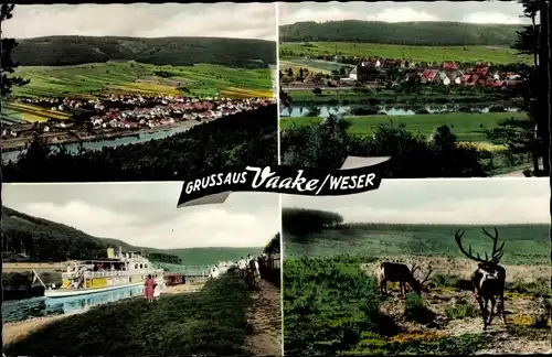 Ak Vaake Reinhardshagen Hessen, Gesamtansicht, Dampfer am Anleger, Hirsche