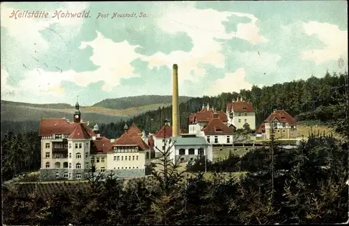 Ak Hohwald Neustadt in Sachsen, Heilstätte, Panorama