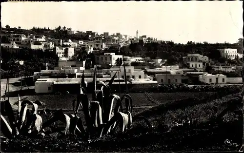 Ak Sidi Bou Saïd Tunesien, Vue generale