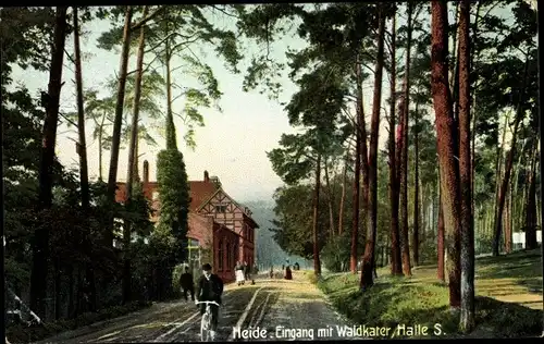 Ak Halle an der Saale, Heide, Eingang mit Waldkater, Straßenansicht, Radfahrer