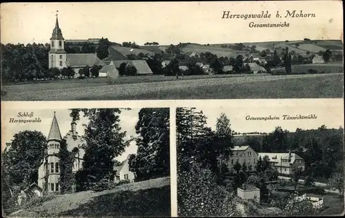 Ak Herzogswalde Wilsdruff Sachsen, Gesamtansicht, Schloss Herzogswalde, Genesungsheim