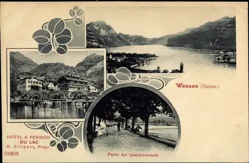 Ak Weesen Kanton Sankt Gallen, Hotel Pension Du Lac, Quaipromenade