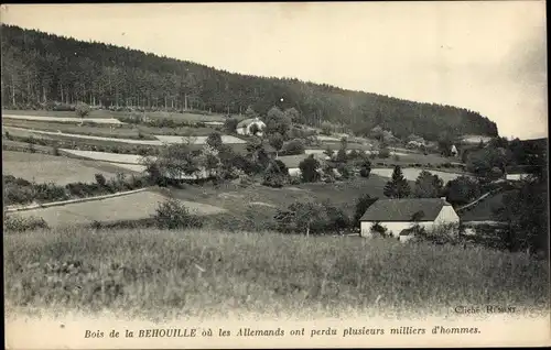 Ak La Croix aux Mines Vosges, Bois de la Behouille