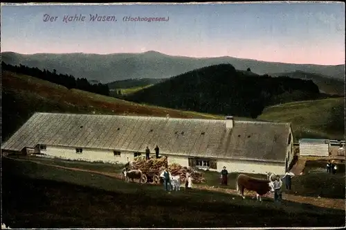 Ak Hochvogesen Haut Rhin, Der kahle Wasen