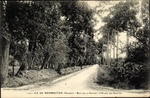 Ak Noirmoutier Vendée, bois de la Chaise, L'Allee des Soupirs