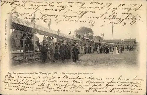 Ak Waregem Waereghem Wareghem Westflandern, paardenloopstrijden 1901, Pferderennen