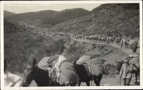 Foto Ak Marokko, Waren-Transport, Pferde, Karawane