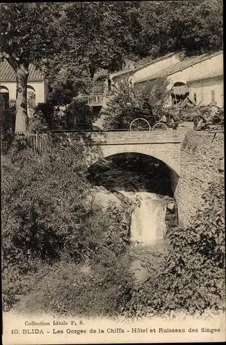Ak Blida Algerien, Les Gorges de la Chiffa, Hotel et Ruisseau des Singes