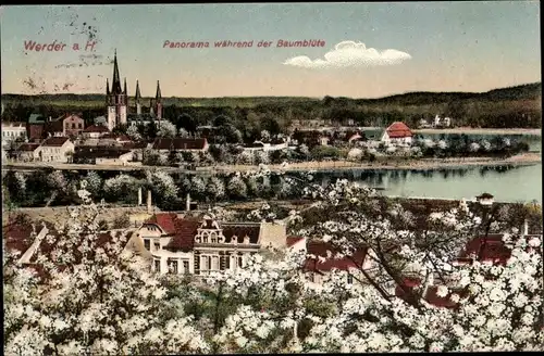 Ak Werder an der Havel, Panorama während der Baumblüte, Ortsansicht