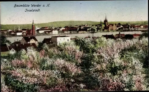 Ak Werder an der Havel, Baumblüte auf der Inselstadt, Teilansicht