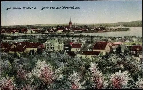 Ak Werder Havel, Blick von der Wachtelburg auf die Stadt, Teilansicht